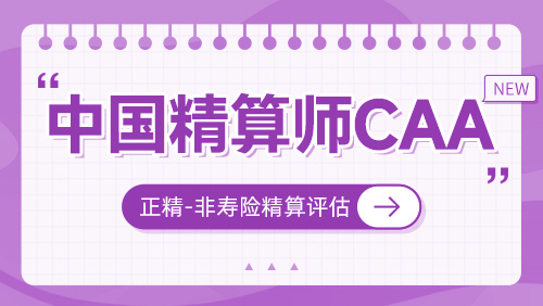 正精-非寿险精算评估